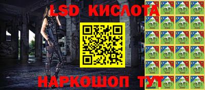 дмт Краснодар