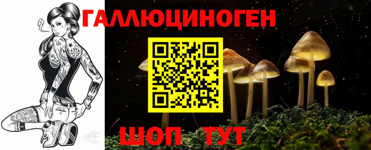где можно купить наркотик  Галлюциногенные грибы Psilocybe  Вход с VPN  Костомукша  Псилоцибиновые грибы Psilocybe 