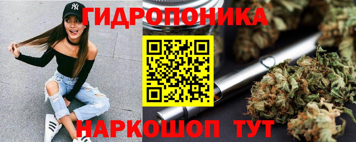 Бошки Шишки конопля  Вход с VPN  Бошки Шишки гибрид  Конопля Bruce Banner  Костомукша  Бошки марихуана ГИДРОПОН 